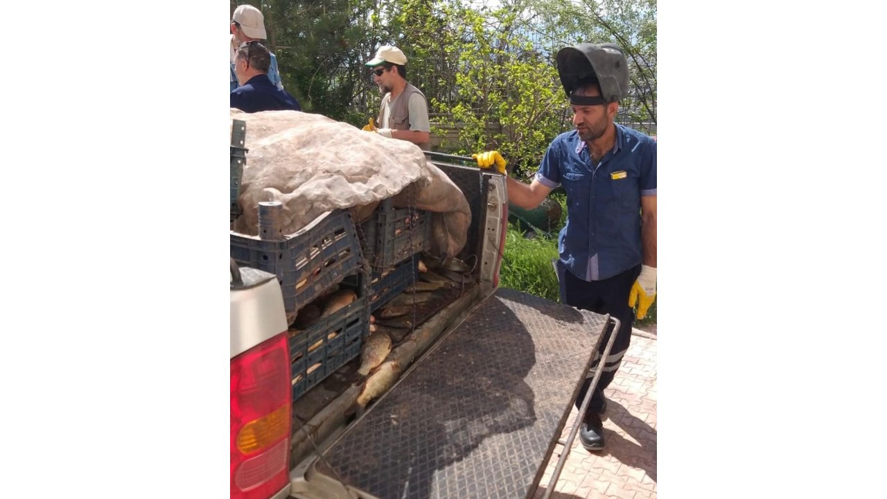 Elazığ’da Kaçak Avlanan 700 Kilogram Balık Ele Geçirildi