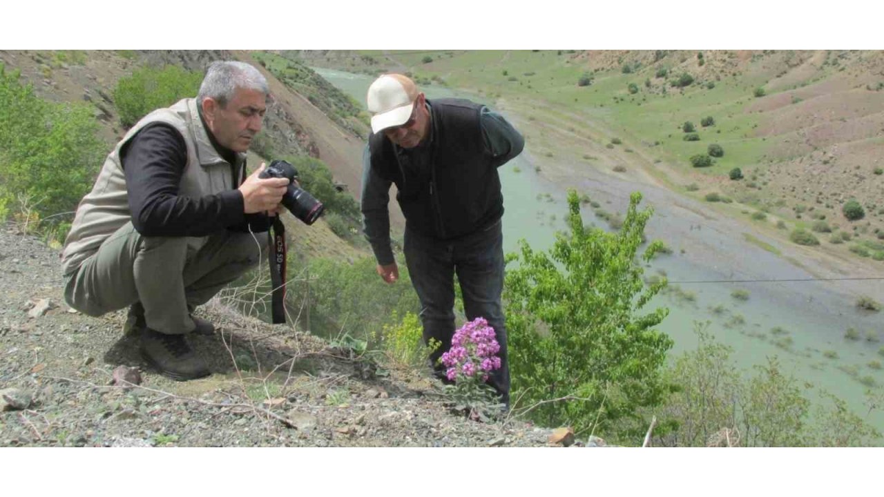 Elazığ’da Ulusal Biyolojik Çeşitlilik Ve Envanter İzleme Projesi Çalışması