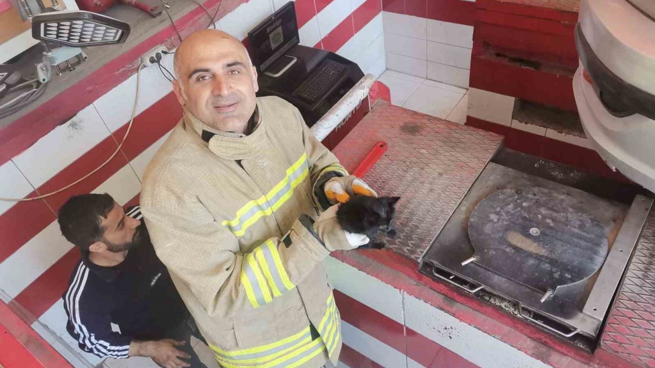 Mardin’de Otomobilin Motor Bölümüne Sıkışan Yavru Kedi Kurtarıldı