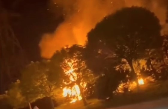 Sultangazi’de Ormanlık Alanda Korkutan Yangın