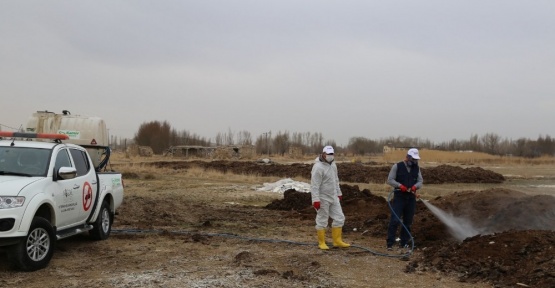 Niğde Belediyesi sinekle mücadeleye başladı