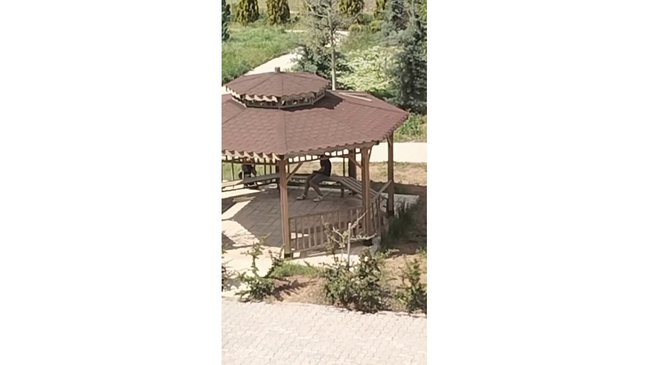 Elazığ’da Kamelyalara Zarar Verdiler