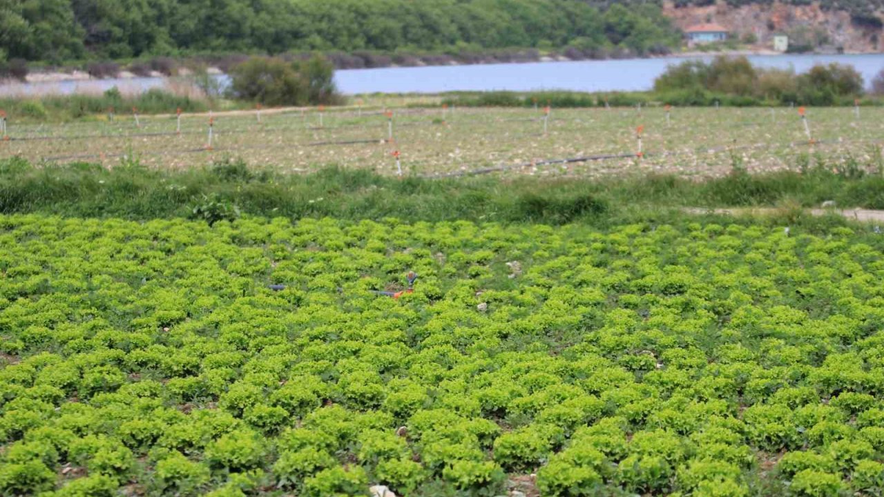 Bursa’da Göl Havzasındaki