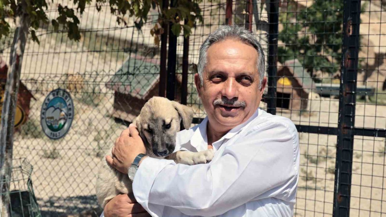 Talas Pati Evi, Sahipsiz Canlara Yuva Oluyor