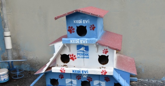 Pendik Belediyesinden okula kedi apartmanı
