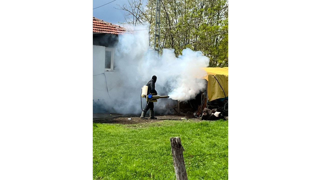 144 Mahallede 31 Bin Hane İlaçlandı