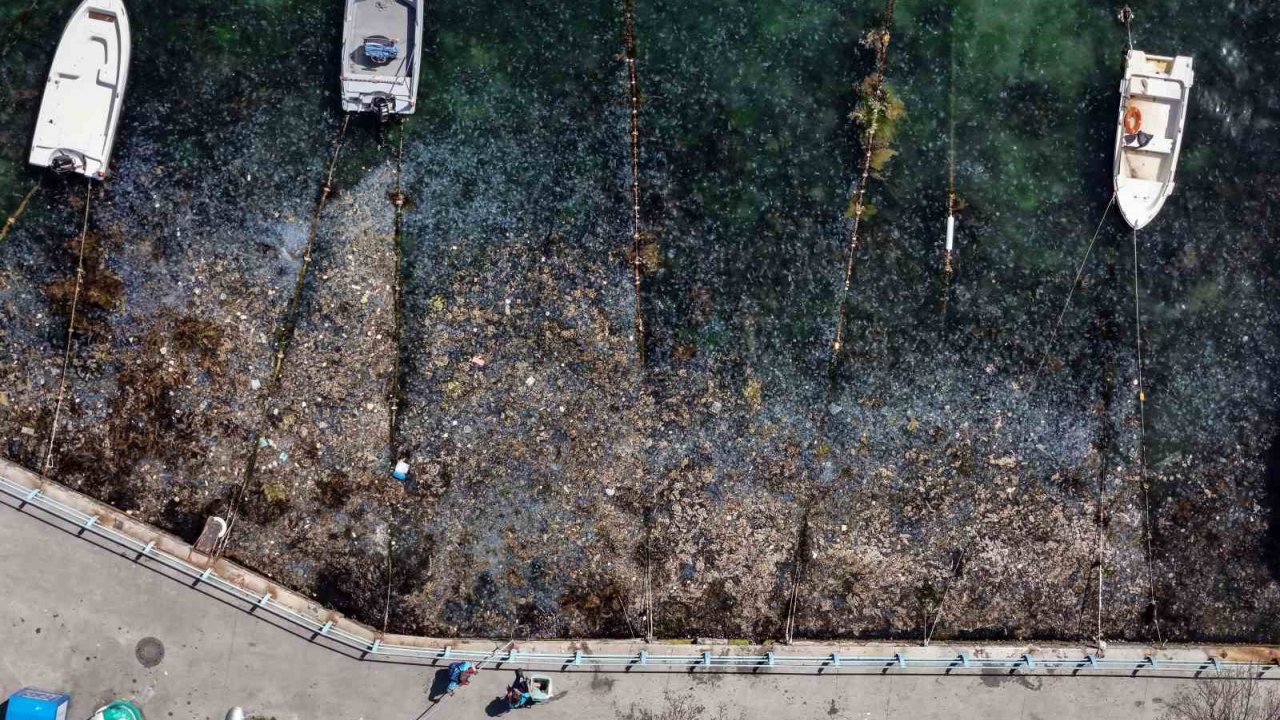 İstanbul Boğazı’ndaki Kirlilik Havadan Görüntülendi