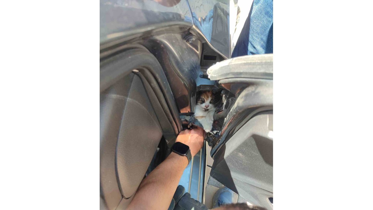 Aracın Kapısına Sıkışan Kediyi İtfaiye Kurtardı