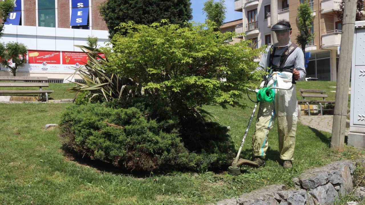 Darıca’da Yeşil Alanlarda Bahar Mesaisi