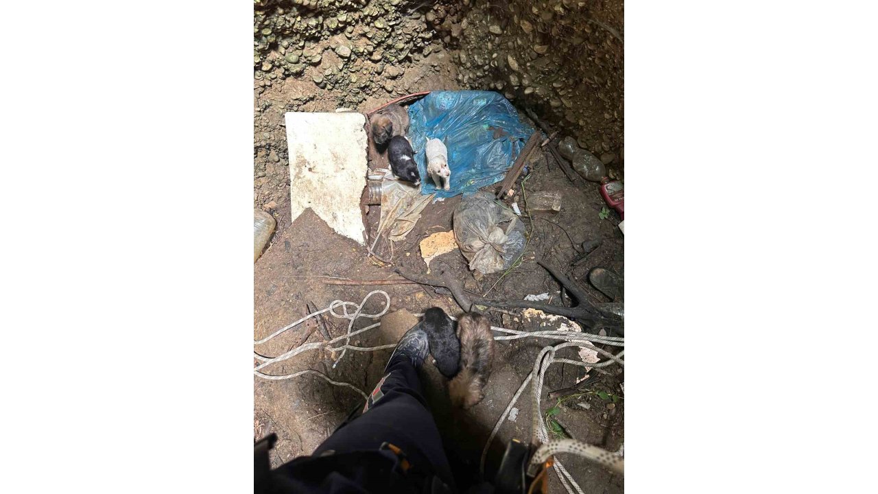 Antalya’da Kuyuya Düşen 7 Yavru Köpeği İtfaiye Kurtardı