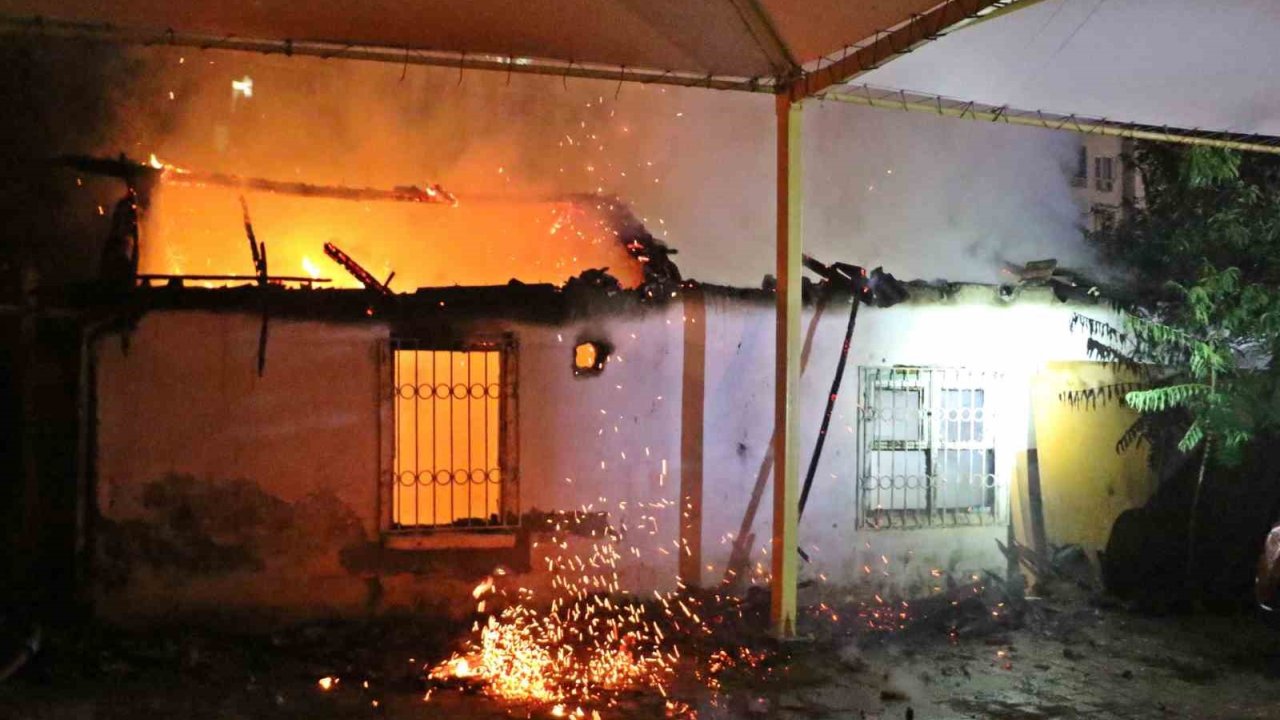 Gecekondu Alev Alev Yandı, Sokağa Dökülen Mahalleli Kediler İçin Gözyaşı Döktü