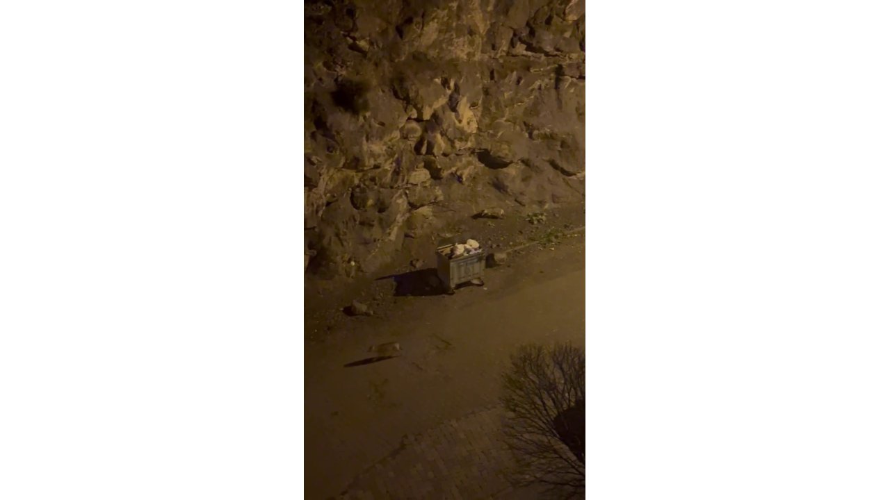 Kurt Sürüsü İlçe Merkezine İndi