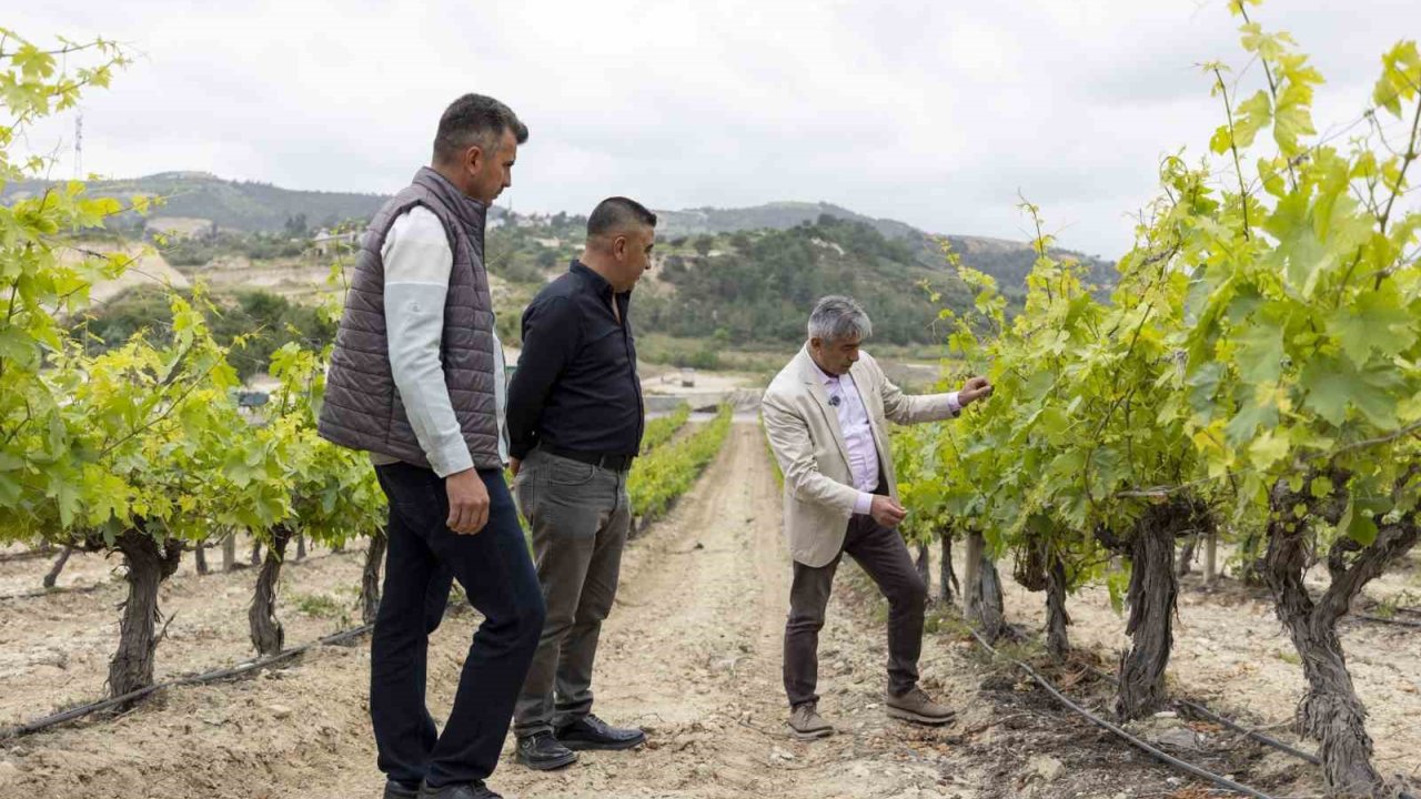 Mersin’de Üreticilere Damlama Sulama Sistemi Anlatılıyor