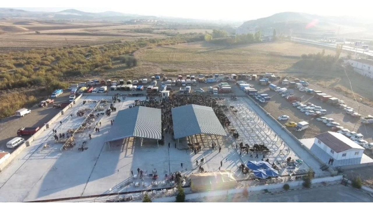 Çorum’da Şap Hastalığı Tespit Edilen Köy Karantinaya Alındı, Hayvan Pazarı Kapatıldı