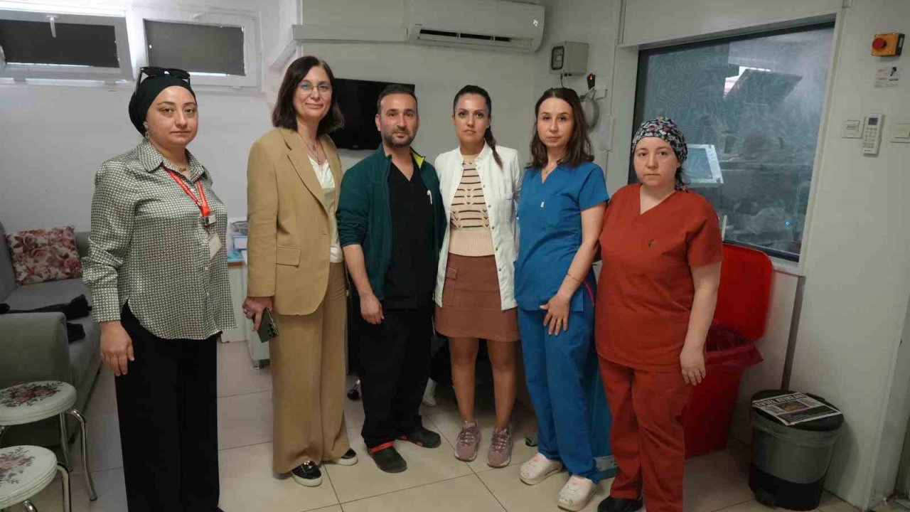 Mr Korkusuna Anestezili Çözüm