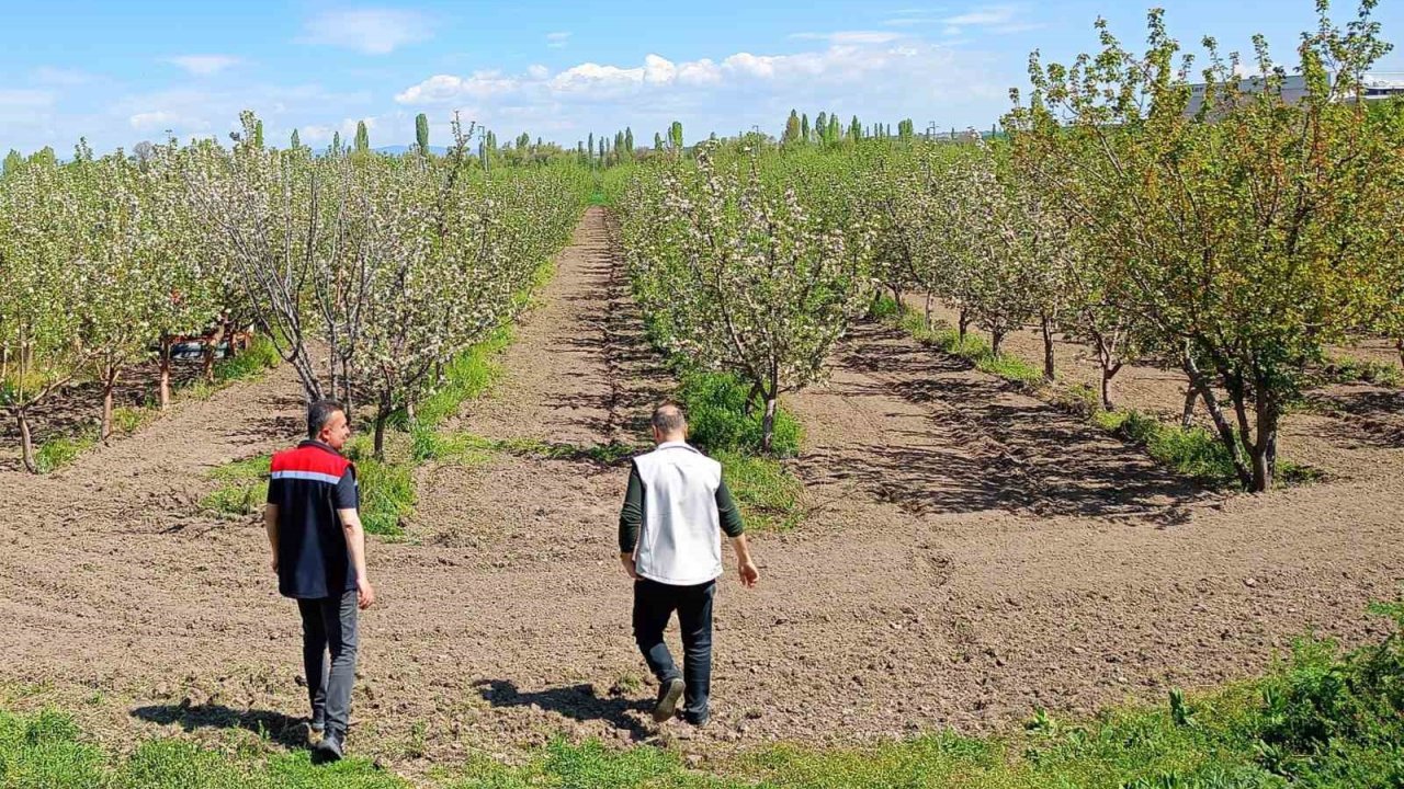 Beyşehir’de Meyve Bahçeleri Hastalık Ve Zararlılara Karşı Yakından Takip Ediliyor