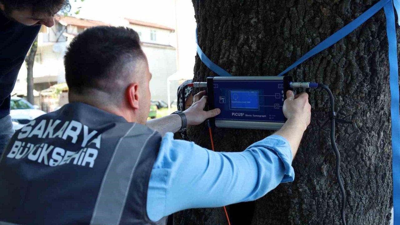 Bu Cihaz Sakarya’da Yeşil Cennetin Tomografisini Çekecek