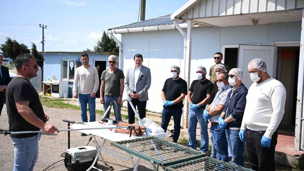 Sinop’ta Sahipsiz Hayvanların Toplanmasına Yönelik Eğitim