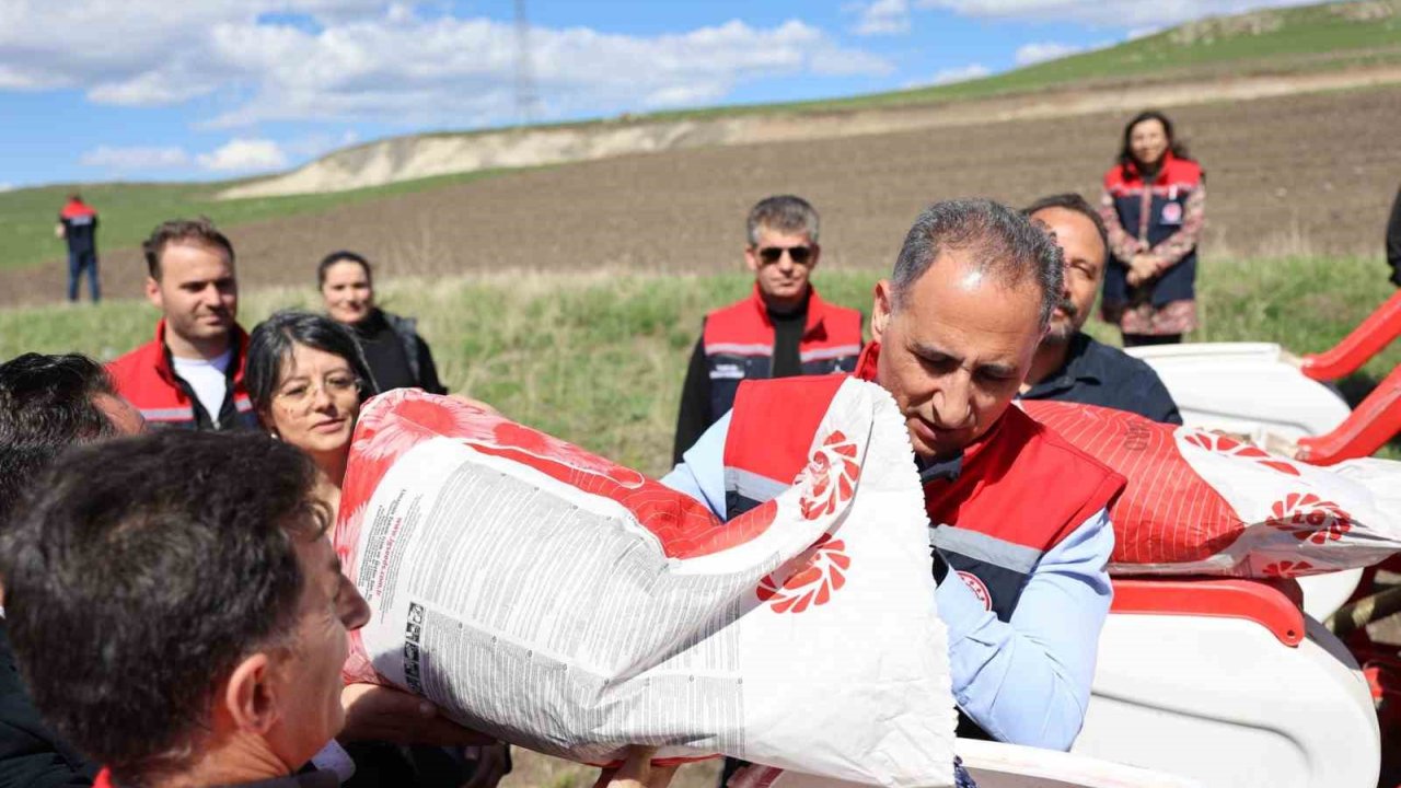 Kars’ta Yağlık Ayçiçeği Üretimi Artıyor