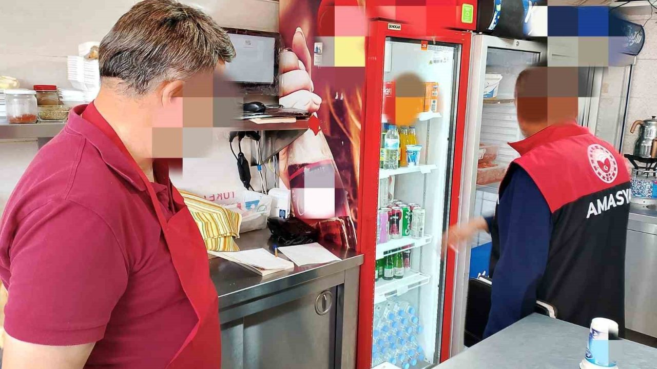 Amasya’da 26 Tavuk Dönerciye 9,5 Milyon Tl’den Fazla Ceza Yağdı