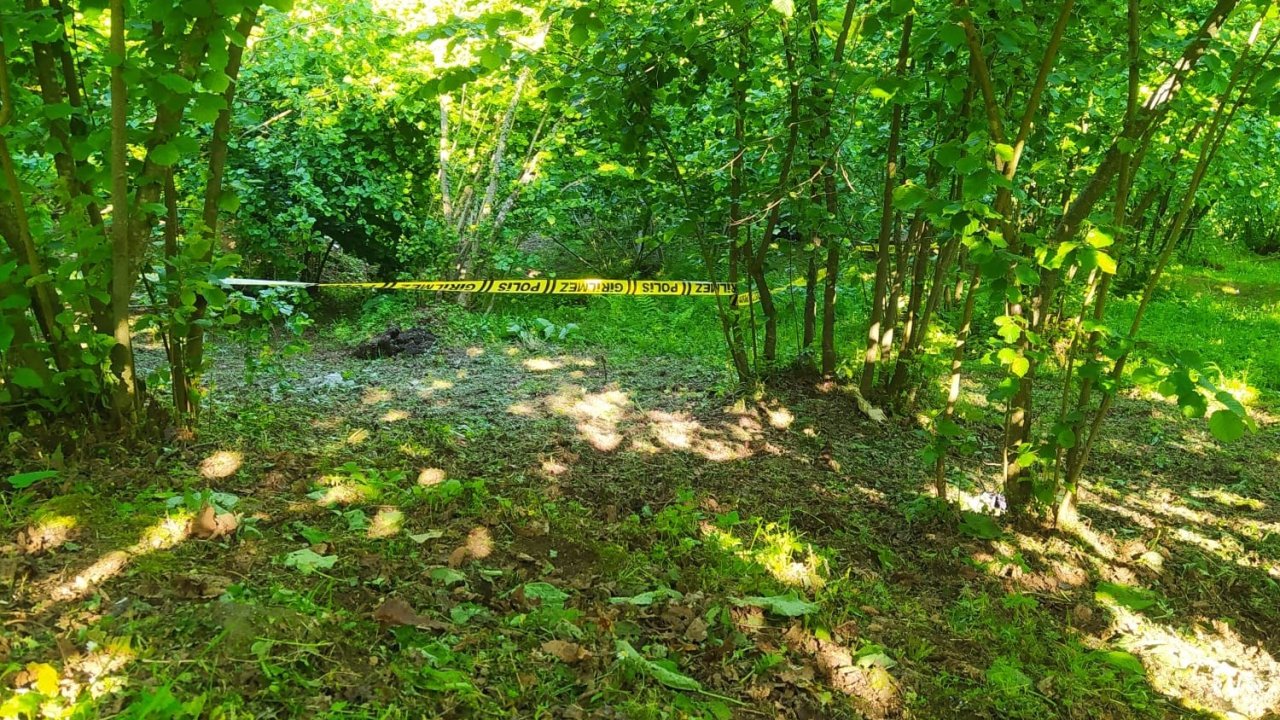 Ordu’da Yaşlı Adam, Fındık Bahçesinde Ölü Bulundu