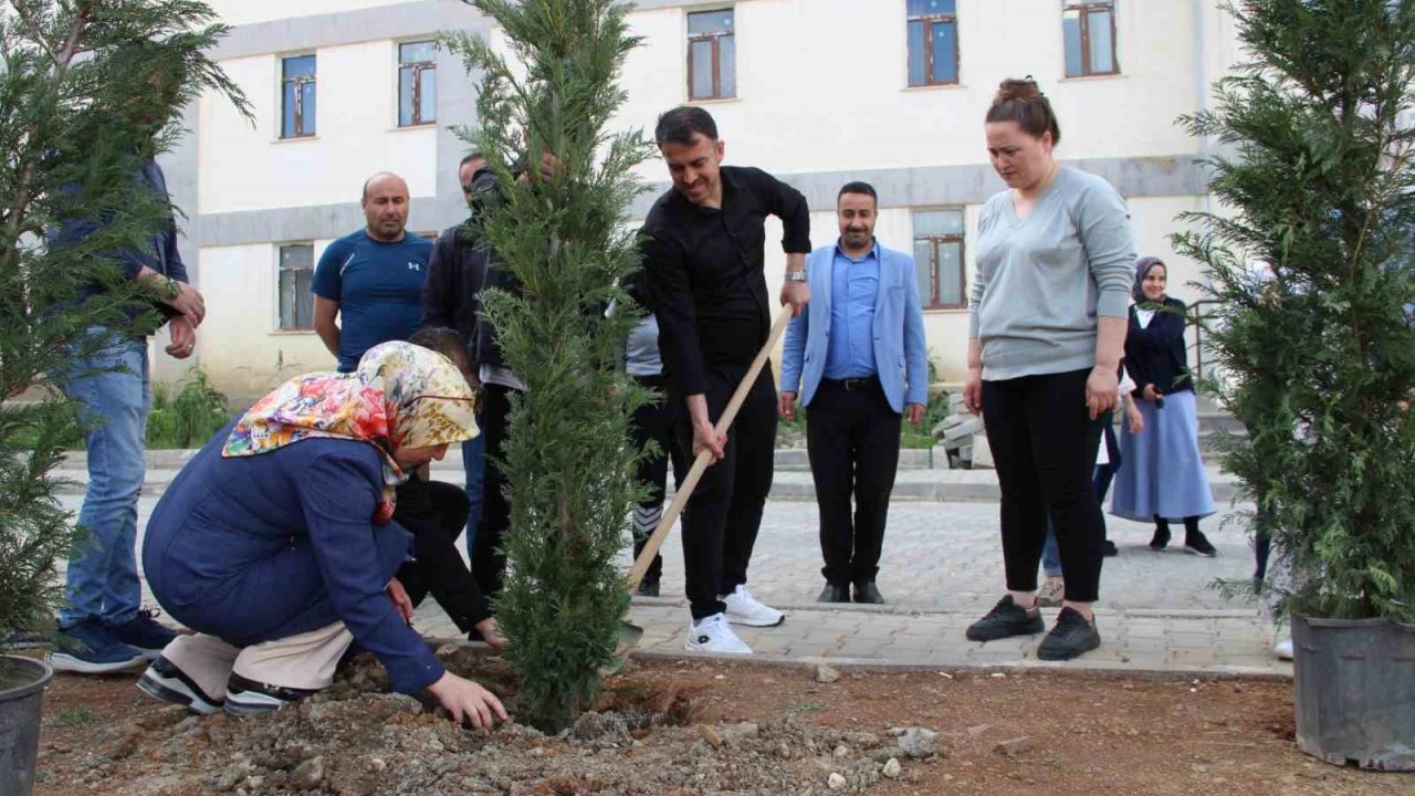 Hakkari’de Fidan Dikimi
