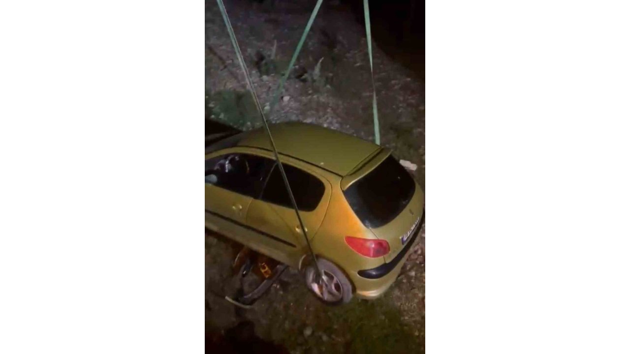 Köpeğe Çarpmamak İçin Manevra Yaptı, Şarampolden Uçtu