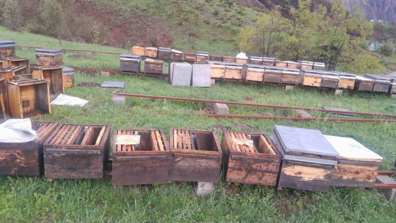 Tunceli Arı Yetiştiricileri Birliği Başkanı Doğan,