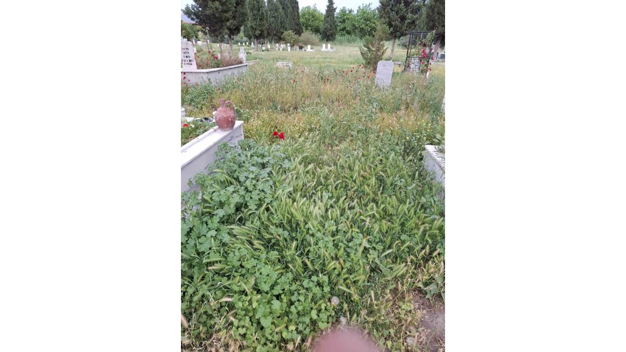 Mezarlıklar Bayram Öncesi Sahipsiz Kaldı
