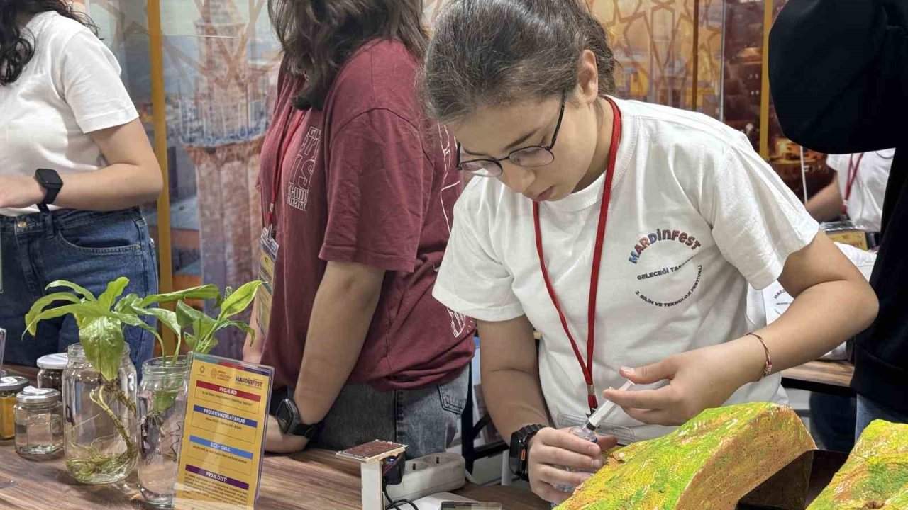 Mardin’de 2. Bilim Ve Teknoloji Festivali Başladı