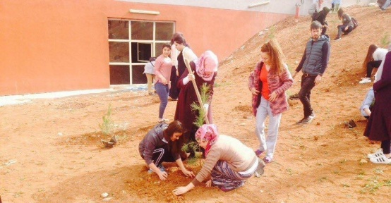 Gençlik merkezi gönüllüleri kız yurdu bahçesinde fidan dikti
