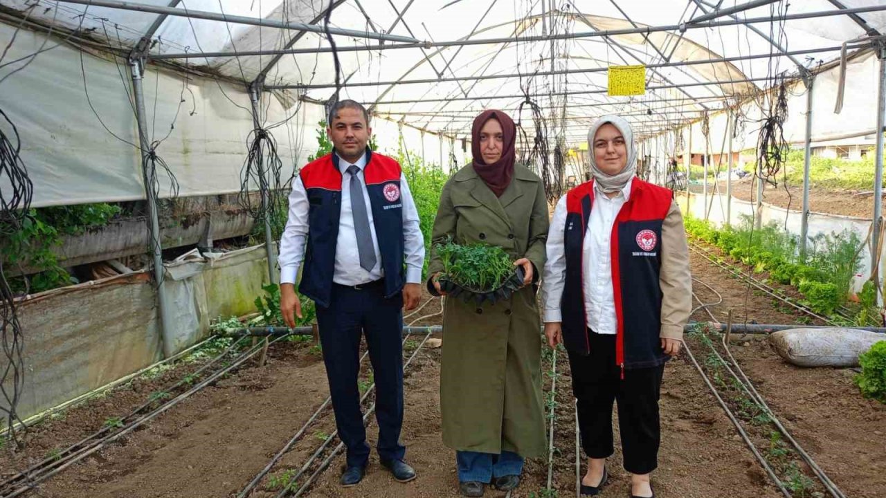 Fide Desteği Alan Kadın Çiftçilerin Seraları İncelendi