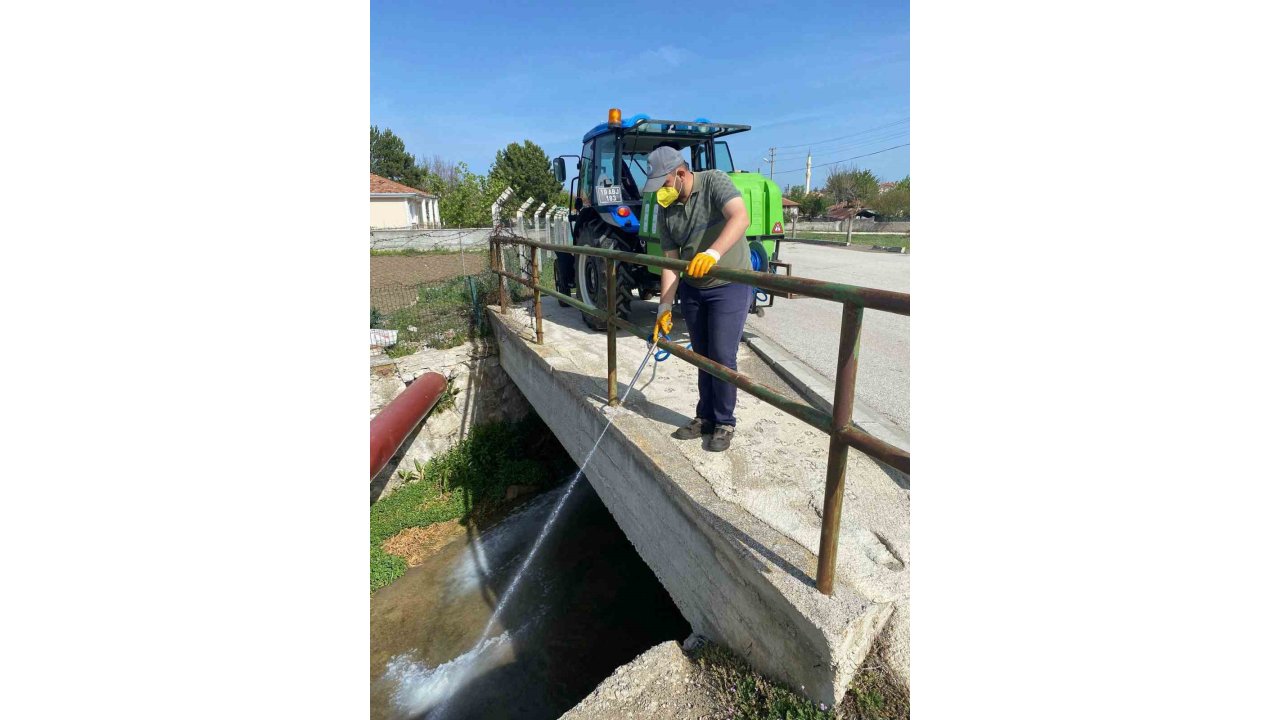 Alaca Belediyesi’nden Sivrisineklerle Etkin Mücadele