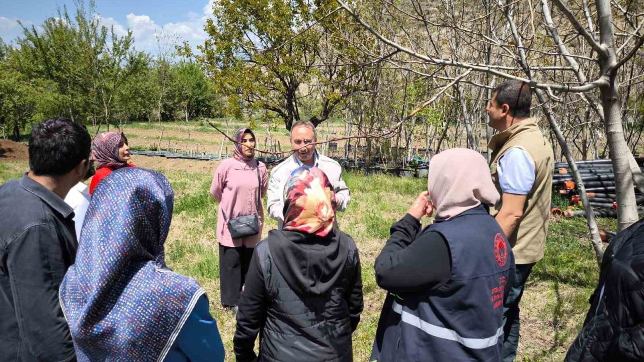 Zirai Dona Karşı Sigorta Yaptıran Çiftçilerin Zararları İnceleniyor