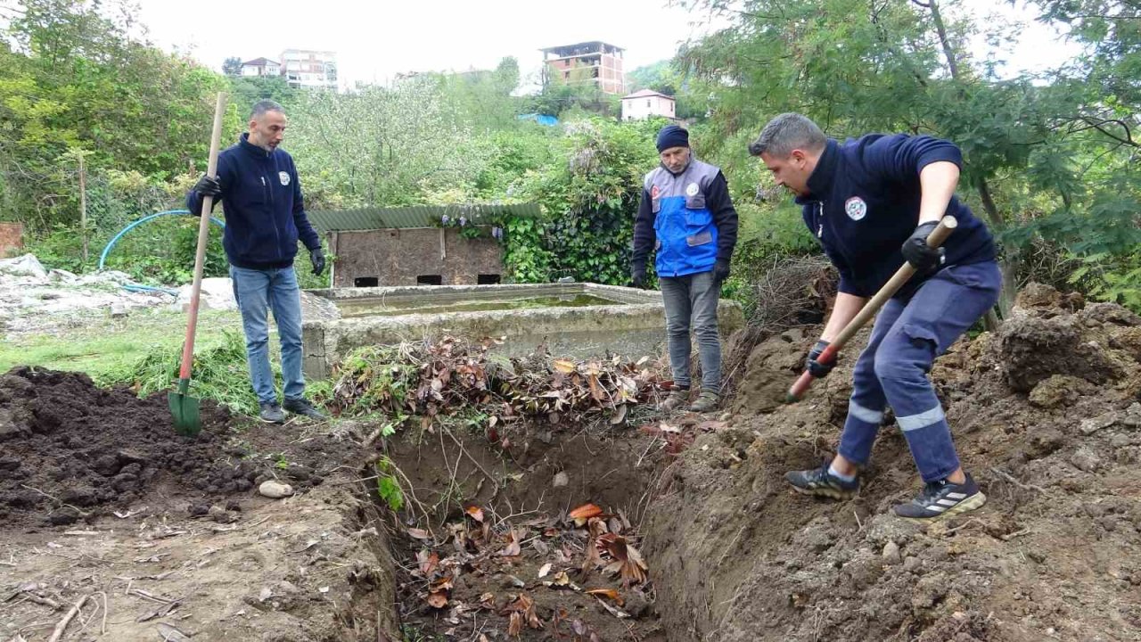 Giresun’da Balık Atıkları Gübre Ve Yeme Dönüşüyor