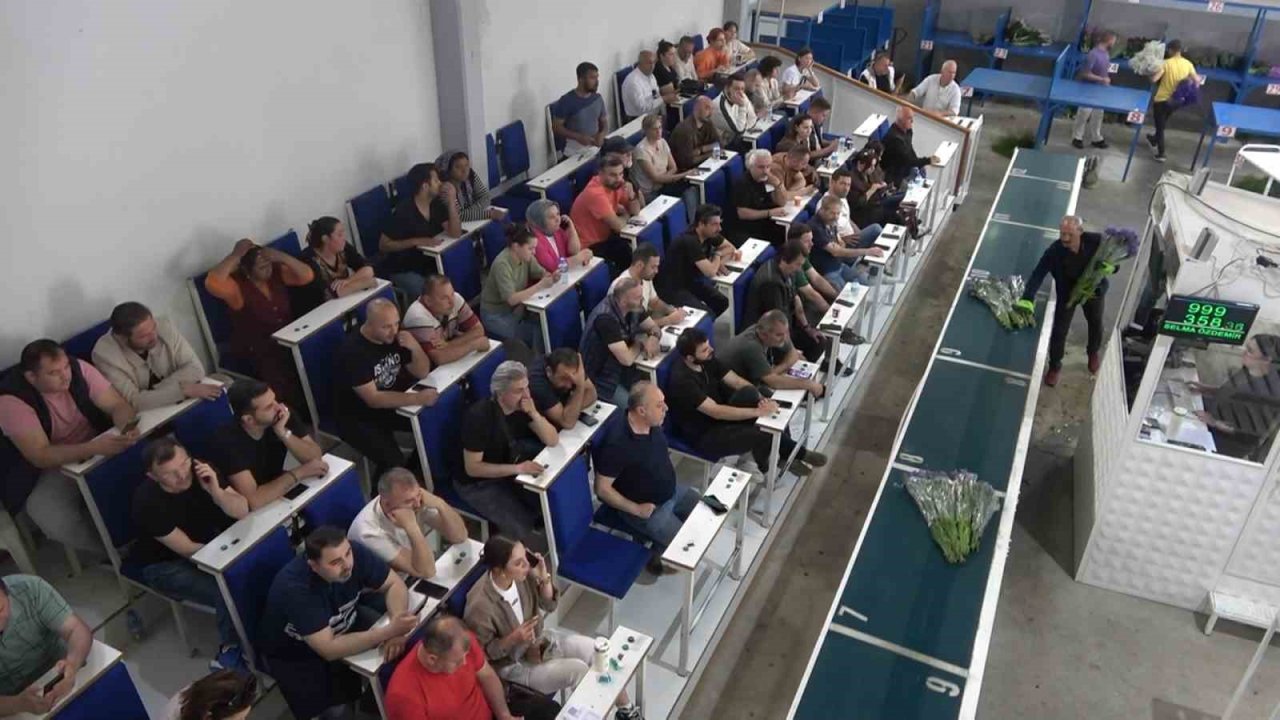 Yalova’daki Çiçek Mezatlarında Anneler Günü Hareketliliği