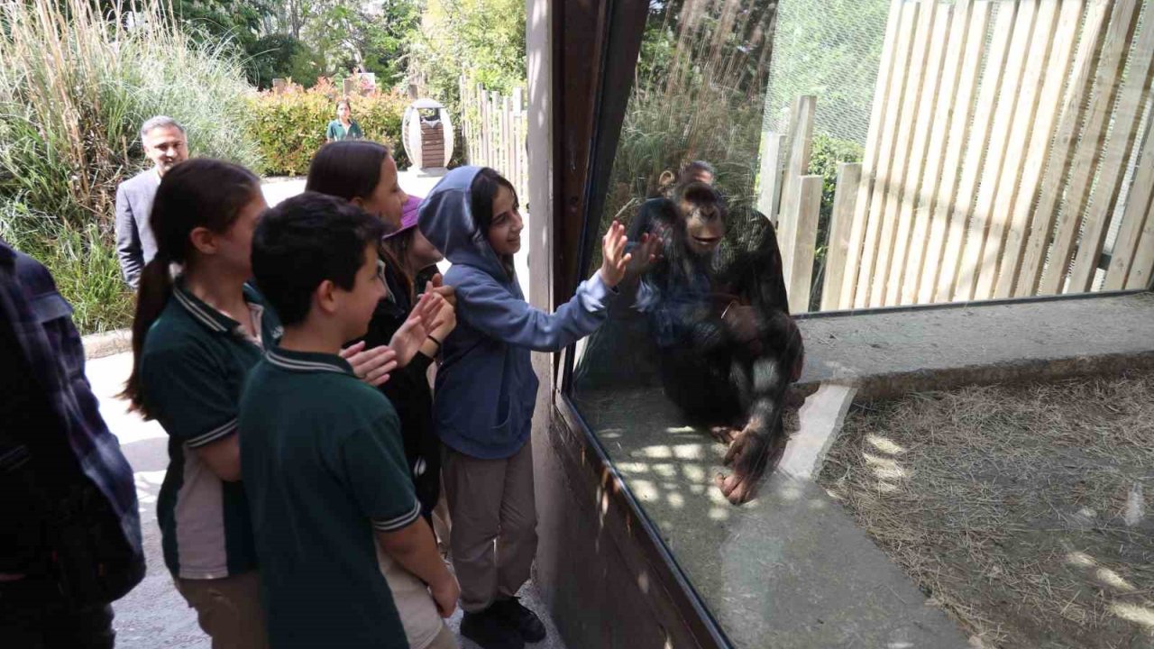Çocuklar Hayvanat Bahçesini Gezdi