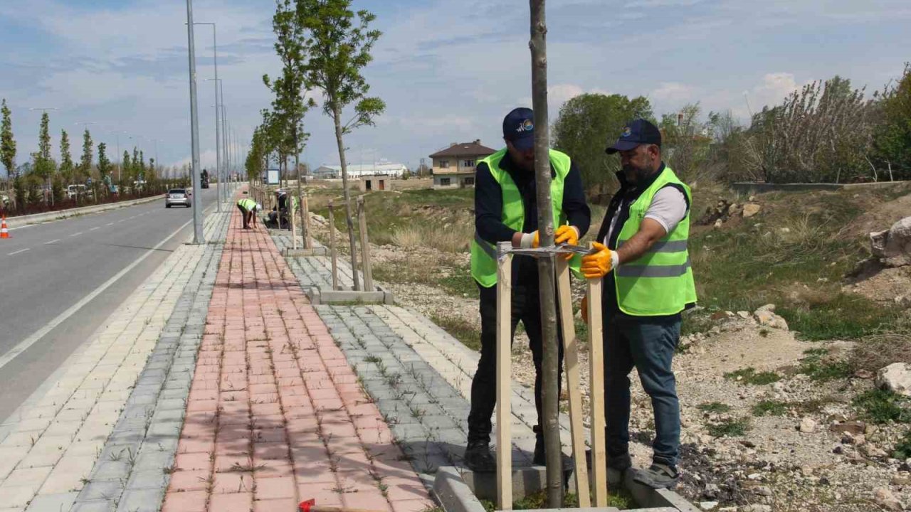 Van Büyükşehir Belediyesinden Sahil Yolunda Çalışma