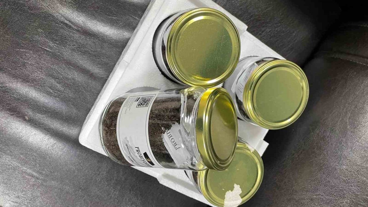 Rize’nin Çayı Ballandı