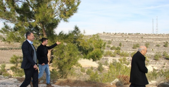 Silifke’de Hayvan Pazarı projesi hayata geçiyor