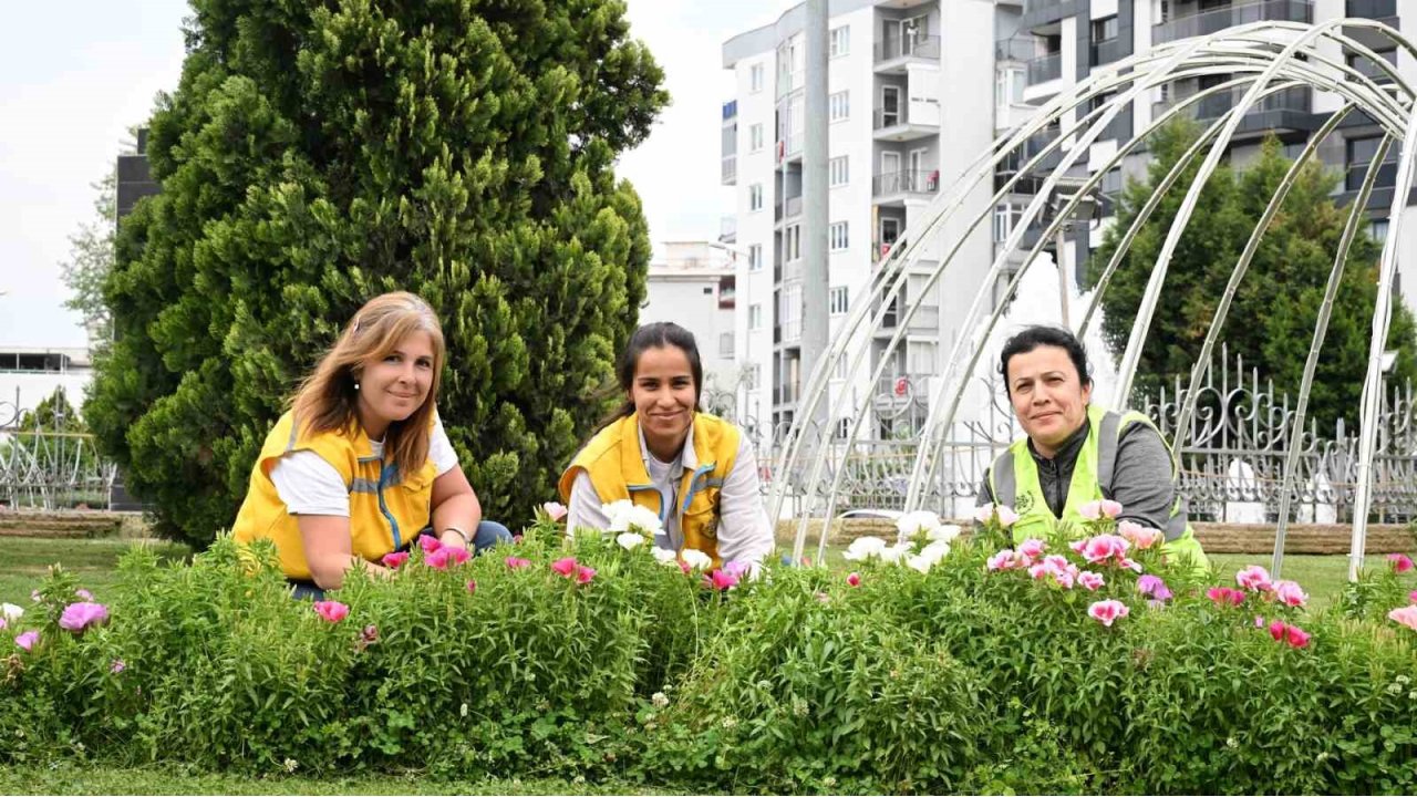 Başkan Çerçioğlu Efeler’i Bahar Çiçekleri İle Süsledi