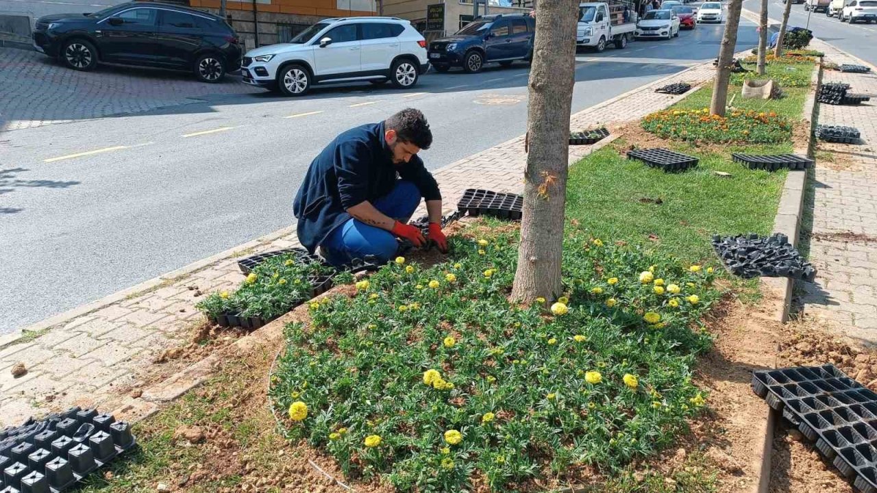 Kağıthane’de Yeşil Alanlarda Bakım Çalışması Yapıldı