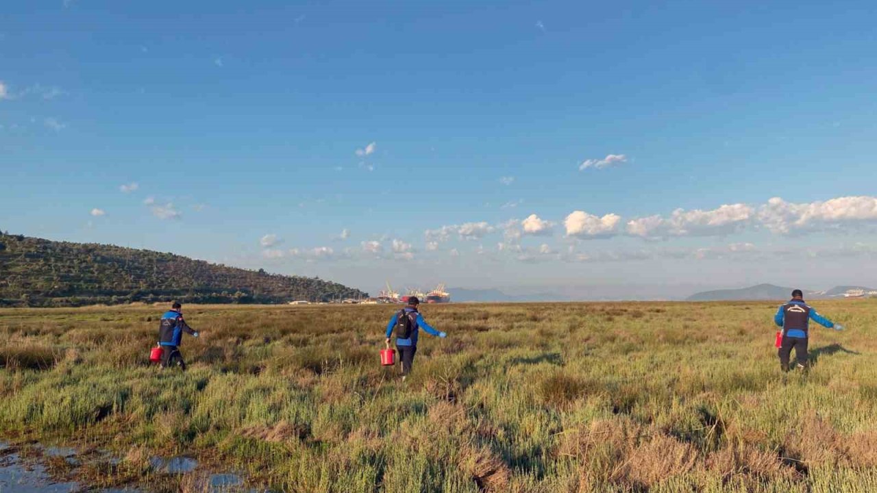 Büyükşehir Belediyesi’nden Güllük Mahallesi’nde 60 Hektar Alanda İlaçlama