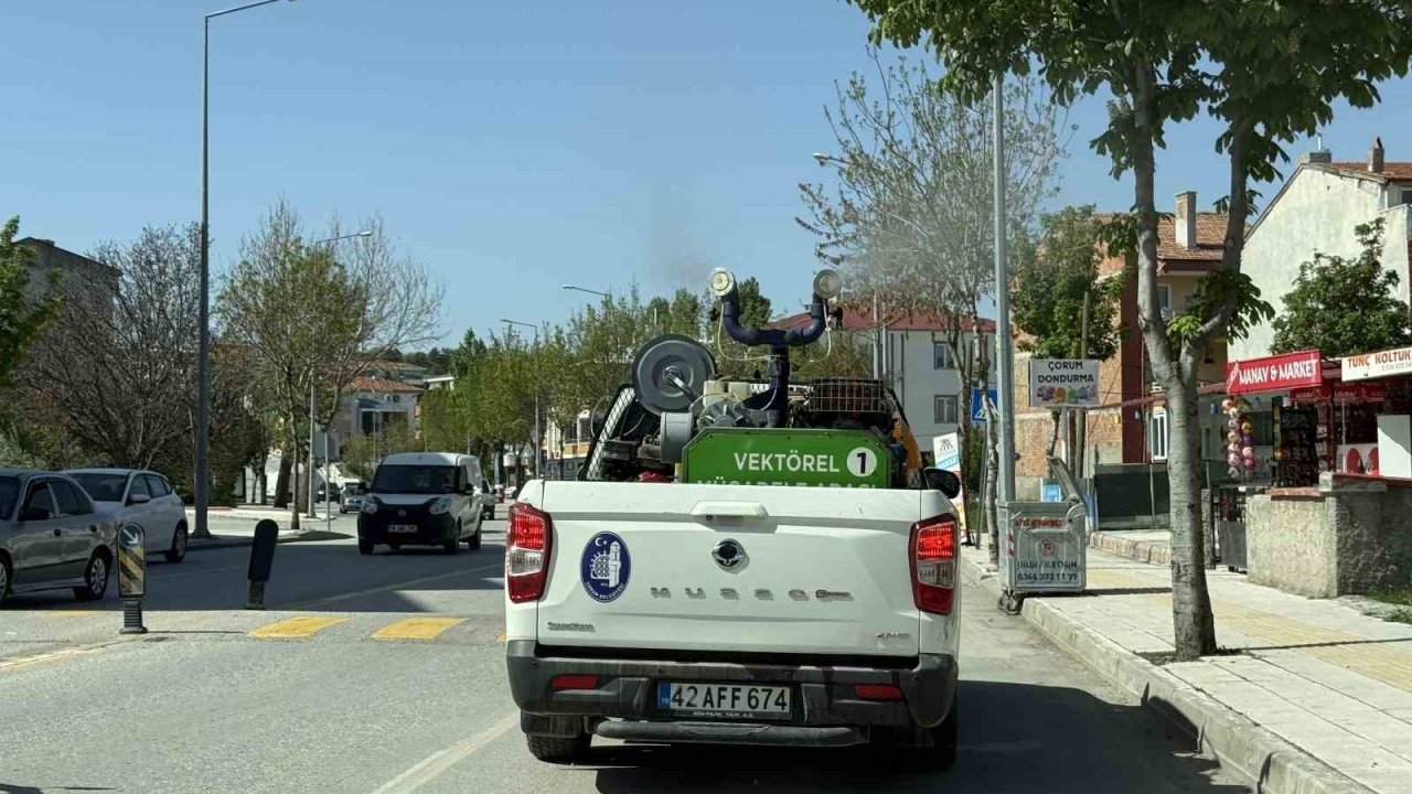 Çorum Belediyesi Ekipleri Vektörel Mücadele İçin Gece-gündüz Sahada