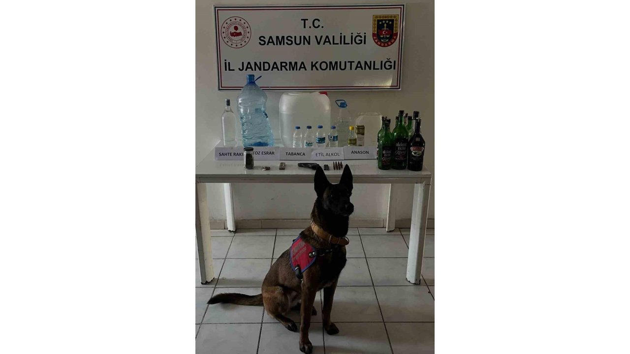 Samsun’da 65 Litre Etil Alkol Ele Geçirildi