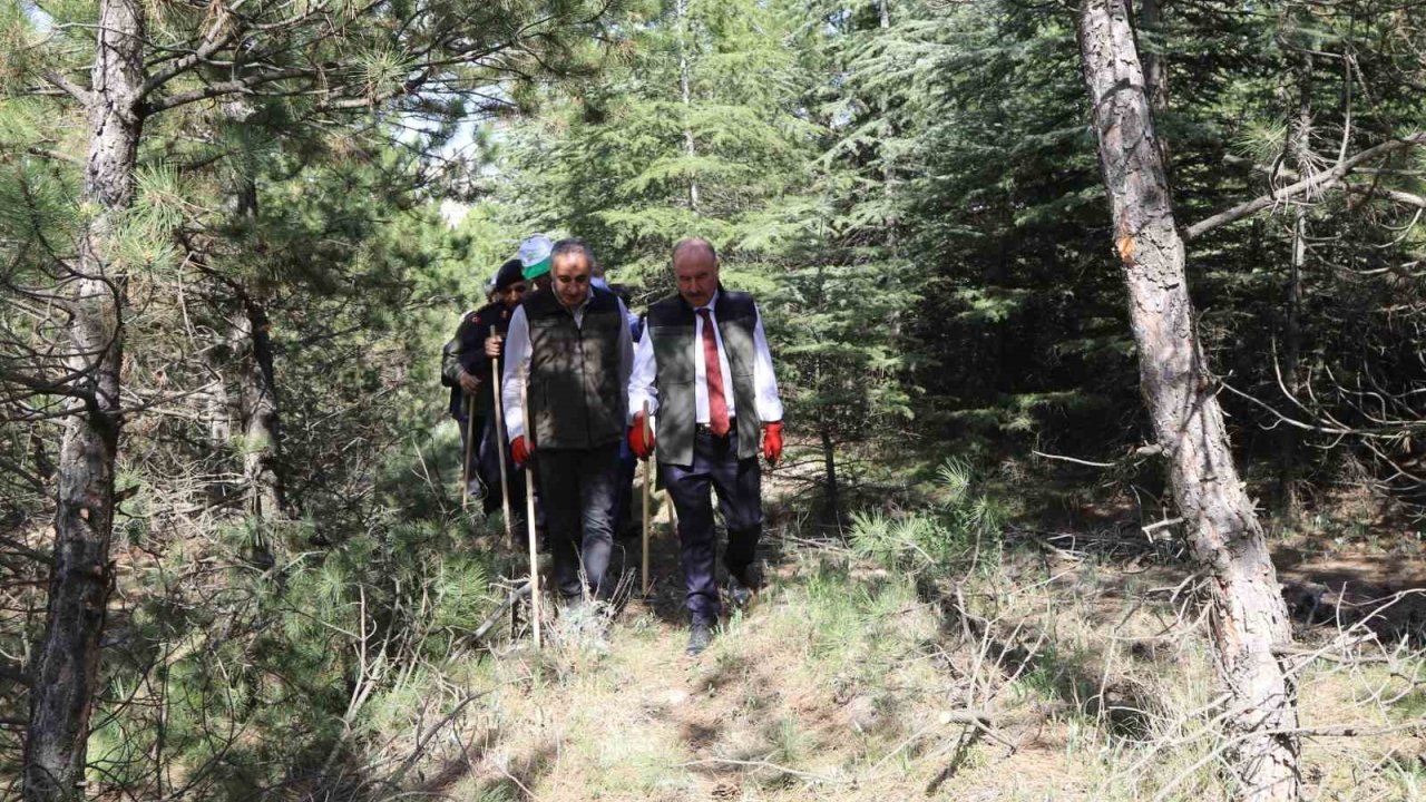 Çorum’da Ormandaki Çöpler İçin Seferber Olundu
