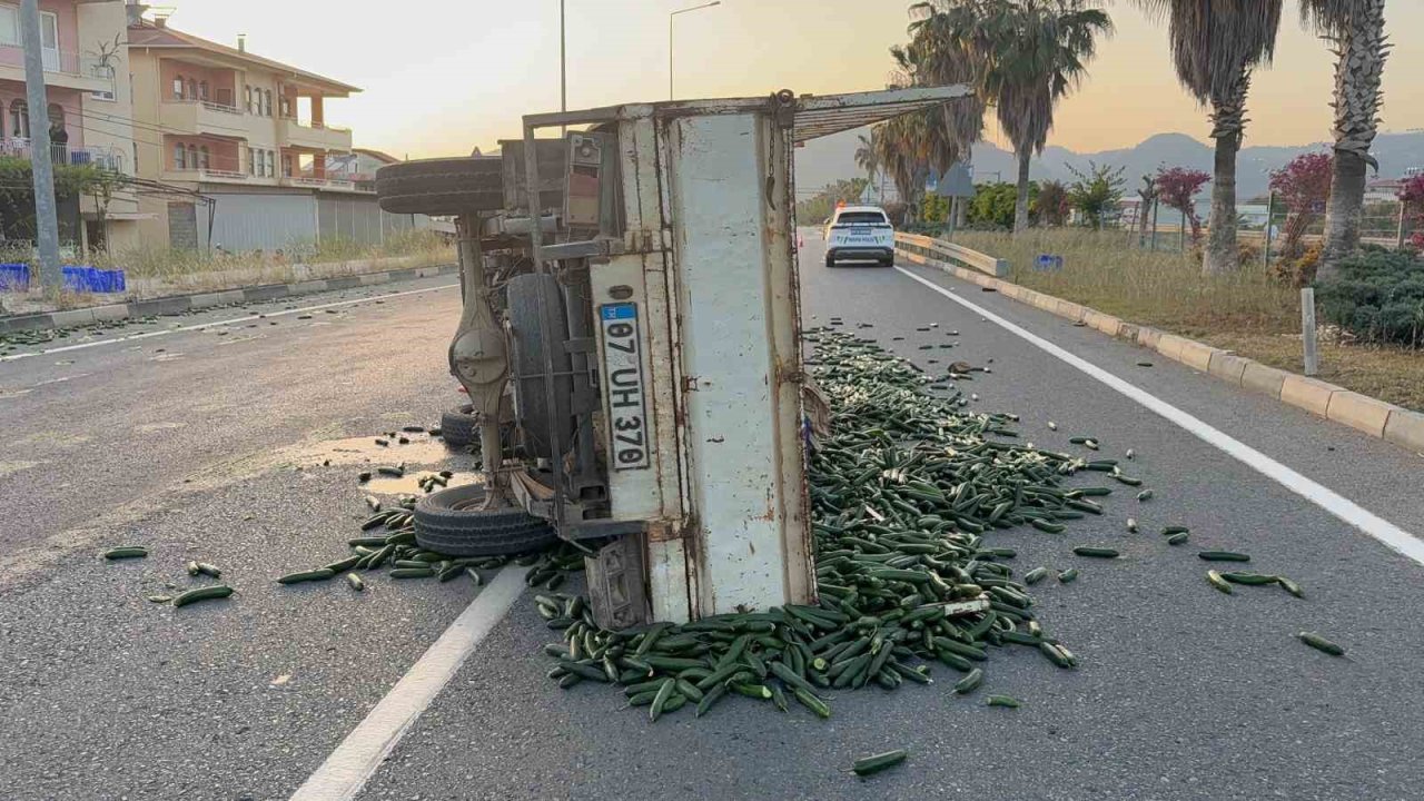 Salatalık Yüklü Kamyonet Devrildi: Salatalıklar Yola Savruldu