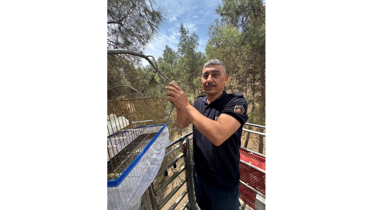 Kafesinden Kaçan Muhabbet Kuşunu İtfaiye Yakaladı