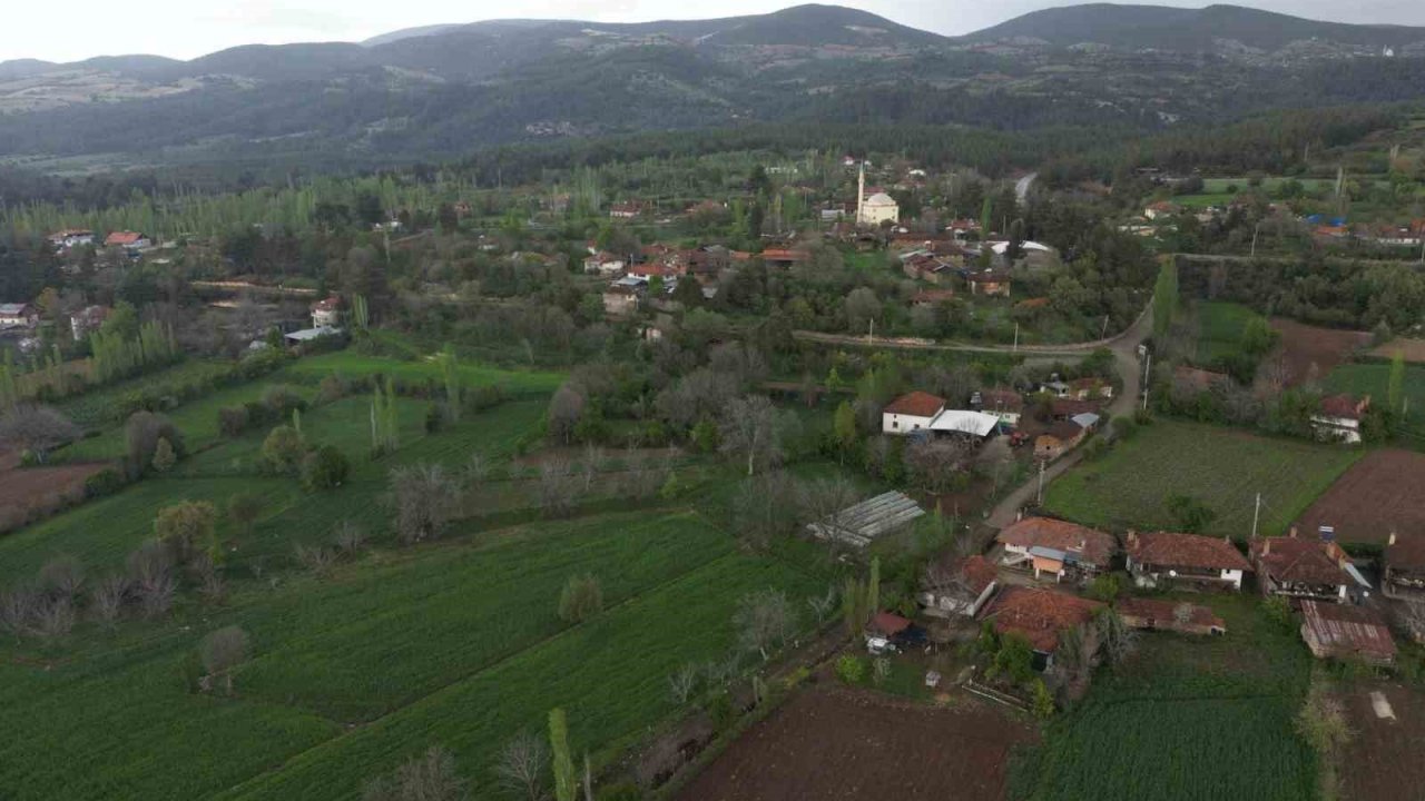 Caminin Tamamlanması İçin Arsasını Bağışladı