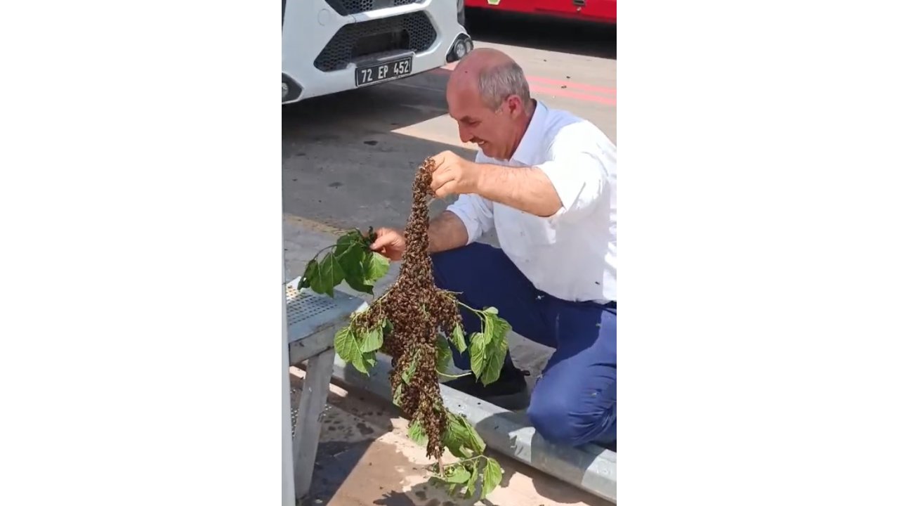 Batman’da Otobüs Durağında Arı Paniği